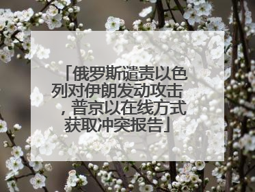 俄罗斯谴责以色列对伊朗发动攻击，普京以在线方式获取冲突报告